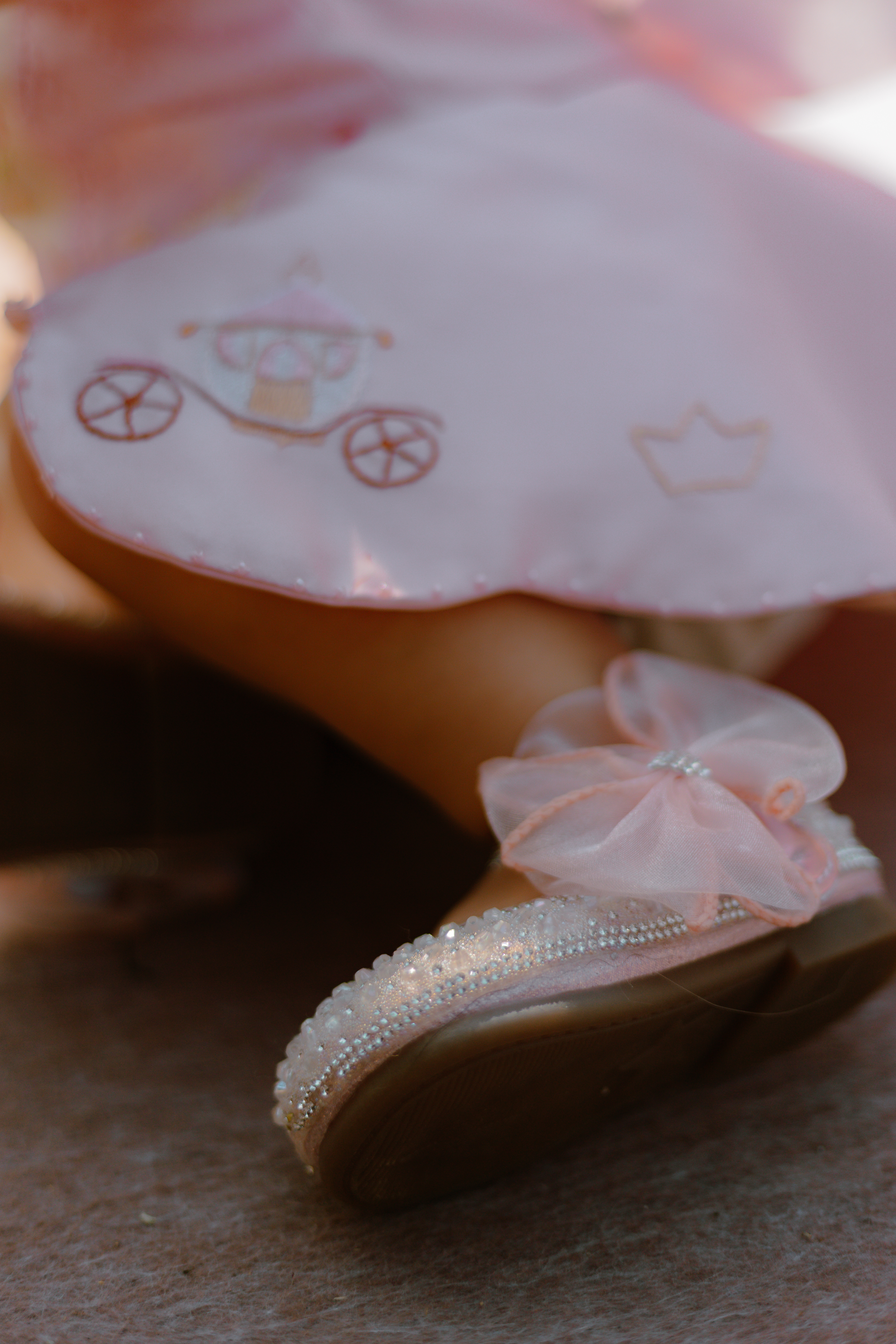 Detalhes da festa da Antonella